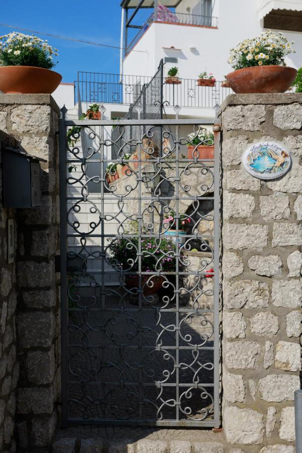 La Ninfa Di Capri Bed and Breakfast Ανακάπρι Εξωτερικό φωτογραφία