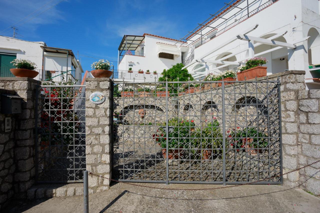 La Ninfa Di Capri Bed and Breakfast Ανακάπρι Εξωτερικό φωτογραφία